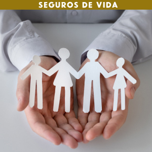 Seguros de Vida