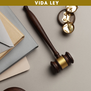 Vida Ley