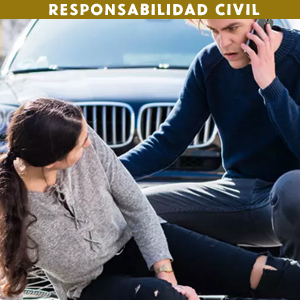 Responsabilidad Civil