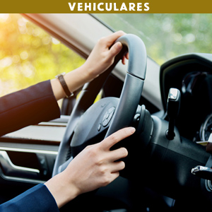 Vehiculares