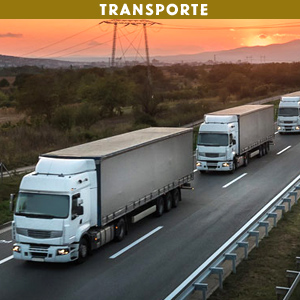 Transporte
